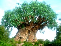 Walt Disney World's Animal Kingdom!