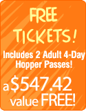 Fun Disney Vacations.com